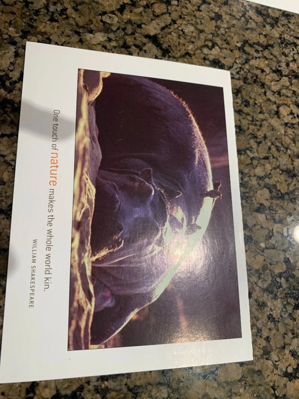 Lot of 3 WGBH PBS Promotional Note Cards Dance in America Howard Schatz Fine Art